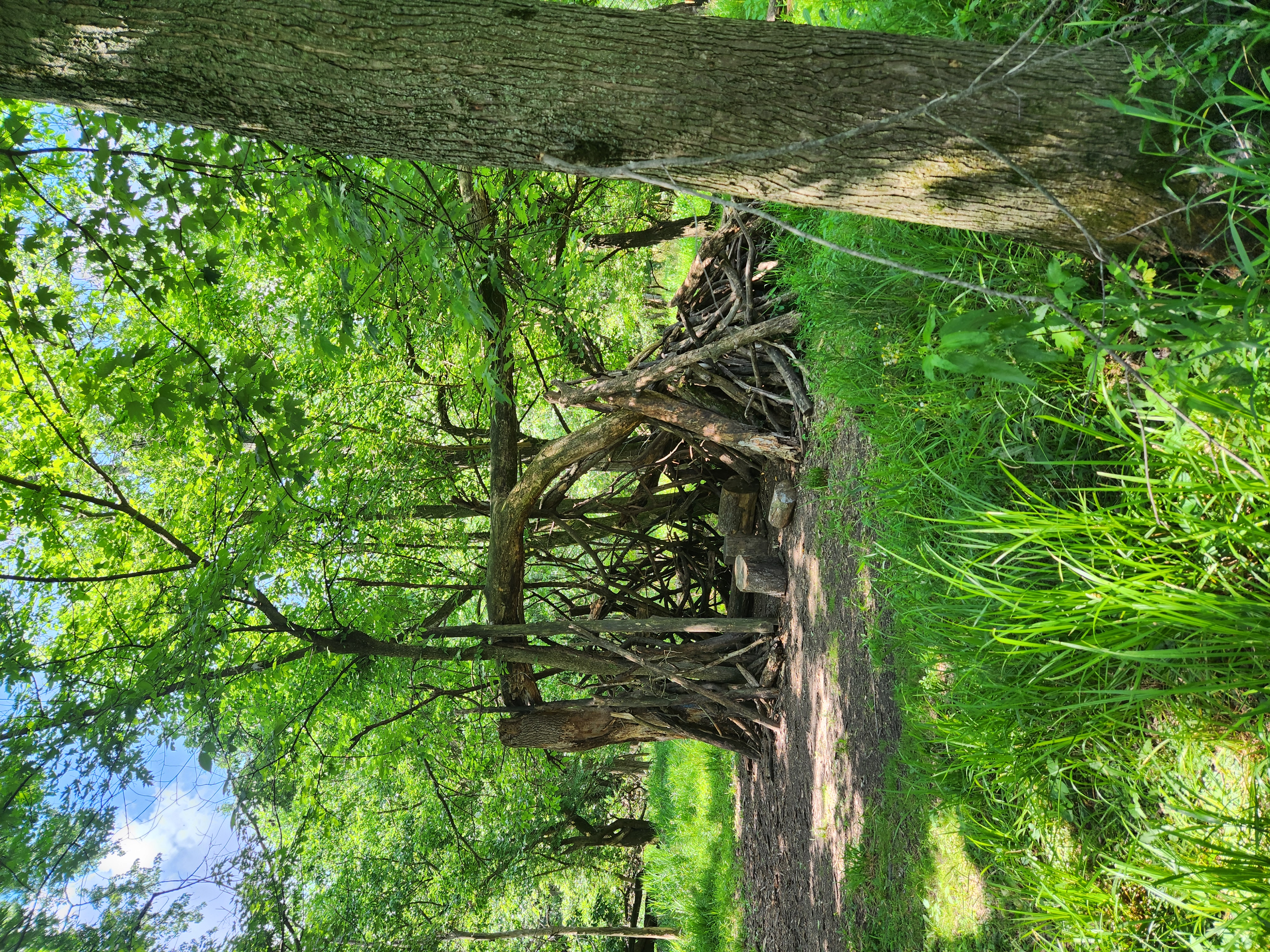 Trail%206-1